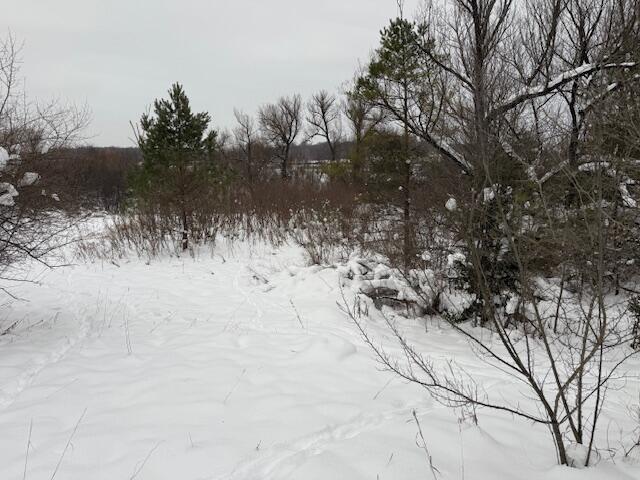 Apache Pass Reed City, MI 49677 - Photo 2 of 7 IMG_6903