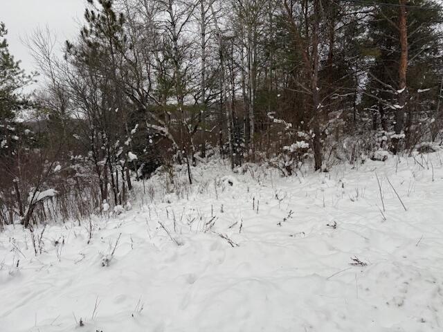 Apache Pass Reed City, MI 49677 - Photo 3 of 7 IMG_6902