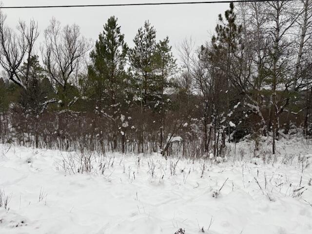 Apache Pass Reed City, MI 49677 - Photo 4 of 7 IMG_6901