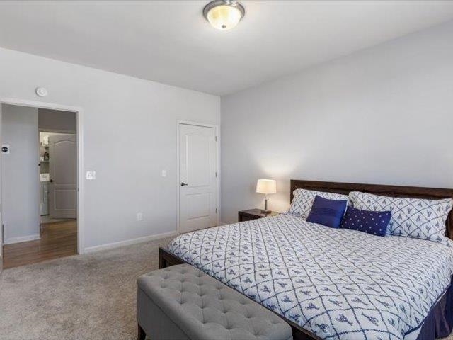 580 South Main Street, Unit 204 Memphis, TN 38103 - Photo 19 of 28 Bedroom featuring carpet floors and baseboards