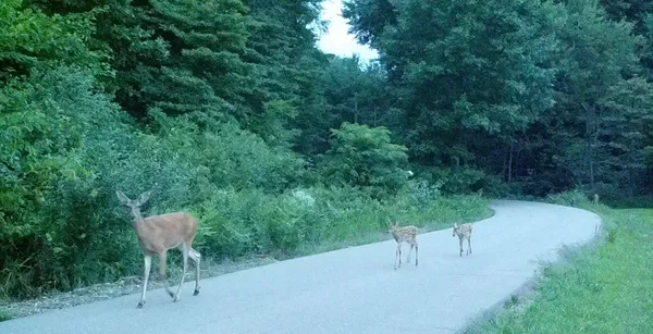 $1,300,000 | 18800 County Road 681, Grand Junction, MI 49056