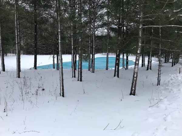 $1,300,000 | 18800 County Road 681, Grand Junction, MI 49056