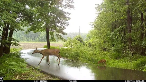 $1,300,000 | 18800 County Road 681, Grand Junction, MI 49056