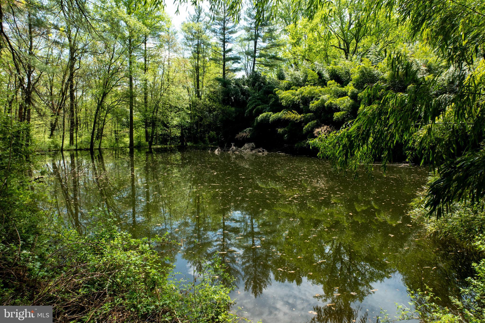 450 Northbrook Road West Chester, PA 19382 - Photo 8 of 59