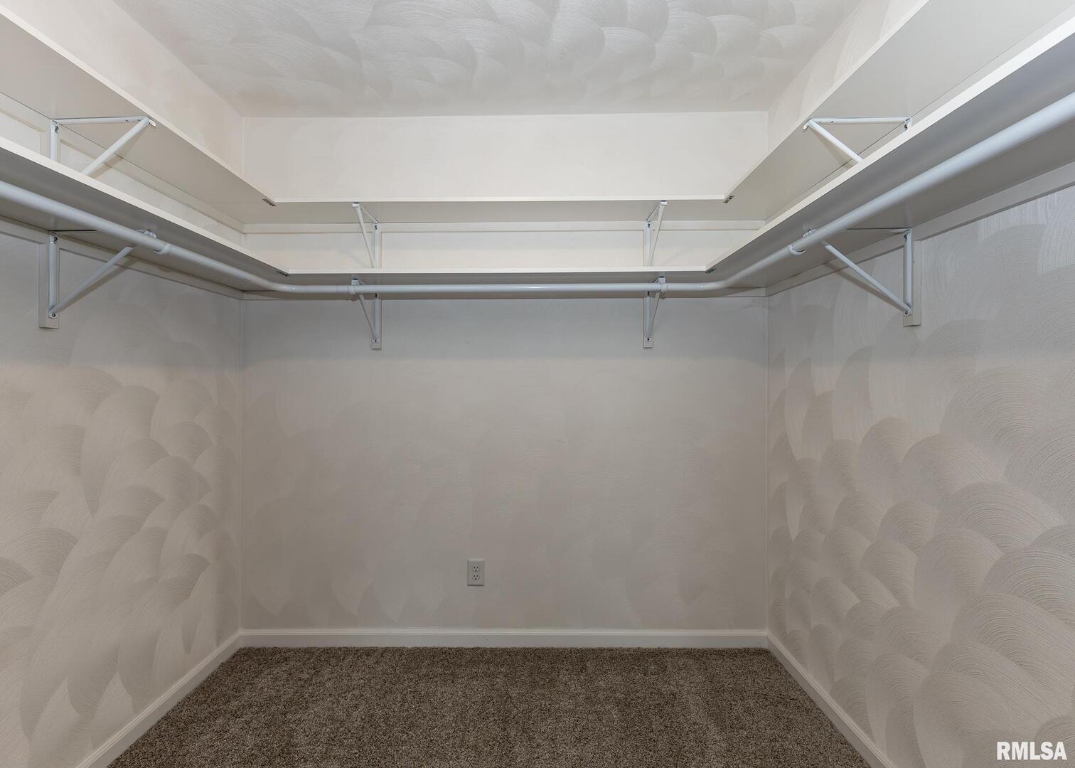 321 Pin Oak Drive Geneseo, IL 61254 - Photo 28 of 42 a empty walk in closet