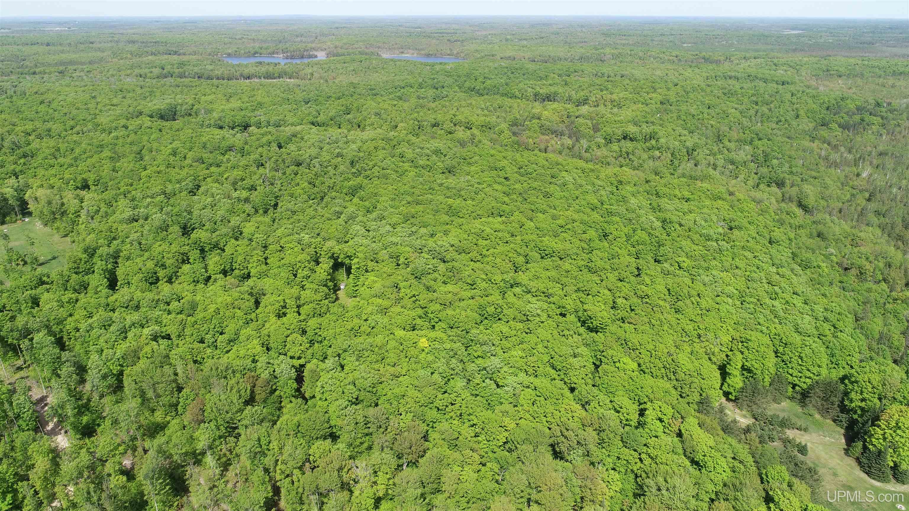Tbd Tbd Banking Ground Road Germfask, MI 49836 - Photo 14 of 36