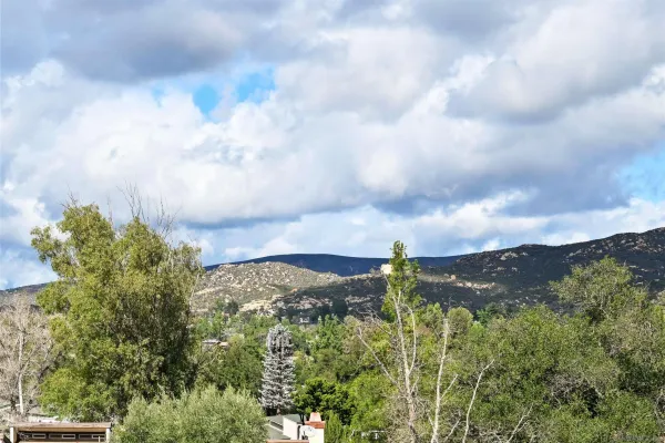 a view of a bunch of trees and houses