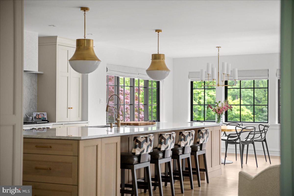 6450 Old Carversville Road New Hope, PA 18938 - Photo 22 of 89 Stunning Chef's Kitchen