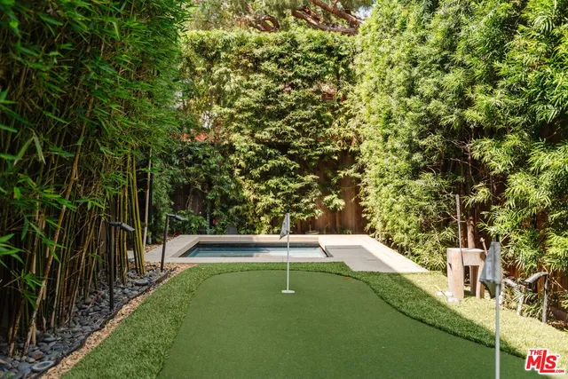 a view of a backyard with plants and a garden