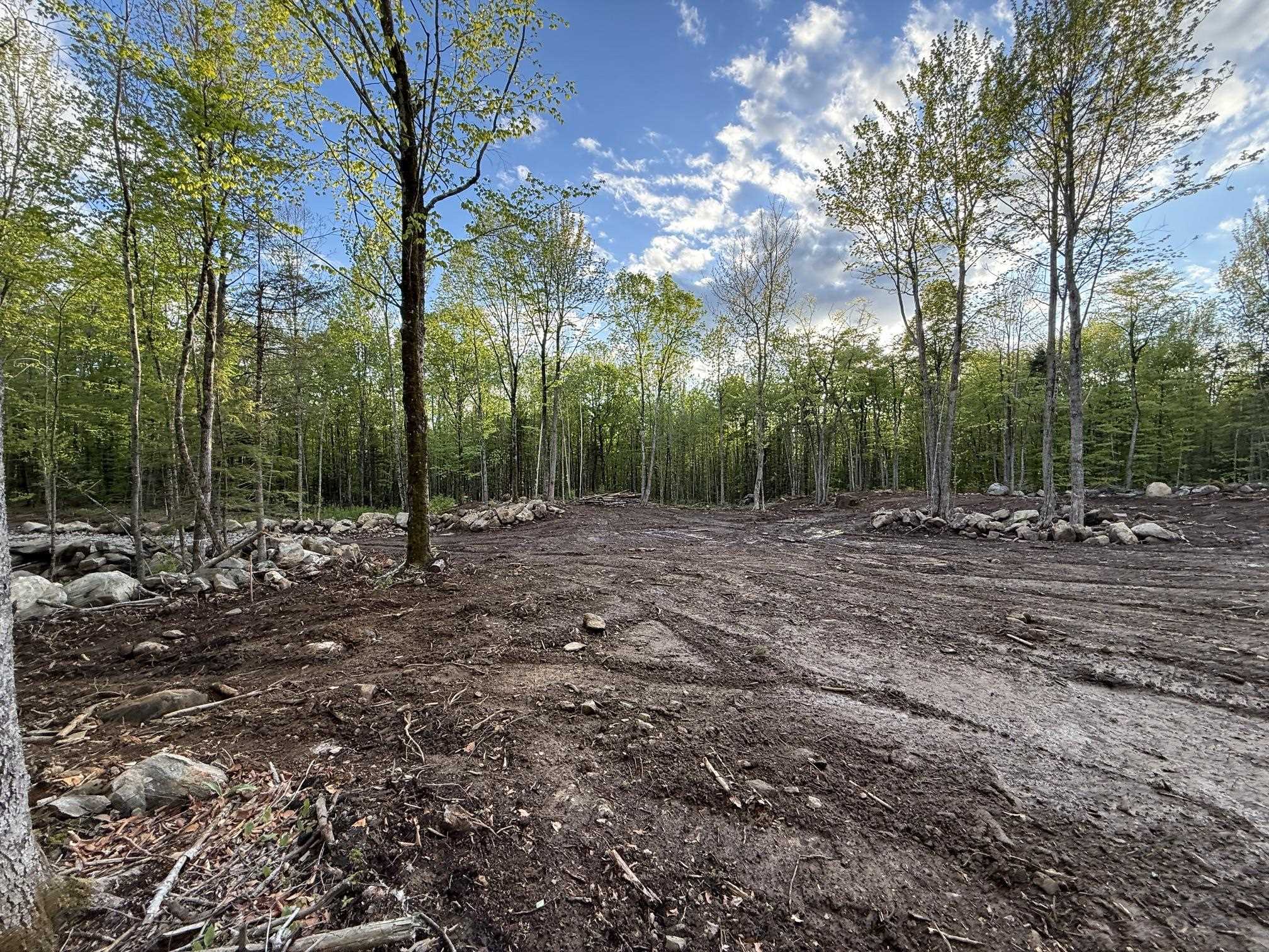 Lot 9 Old County Road Franconia, NH 03580 - Photo 14 of 16