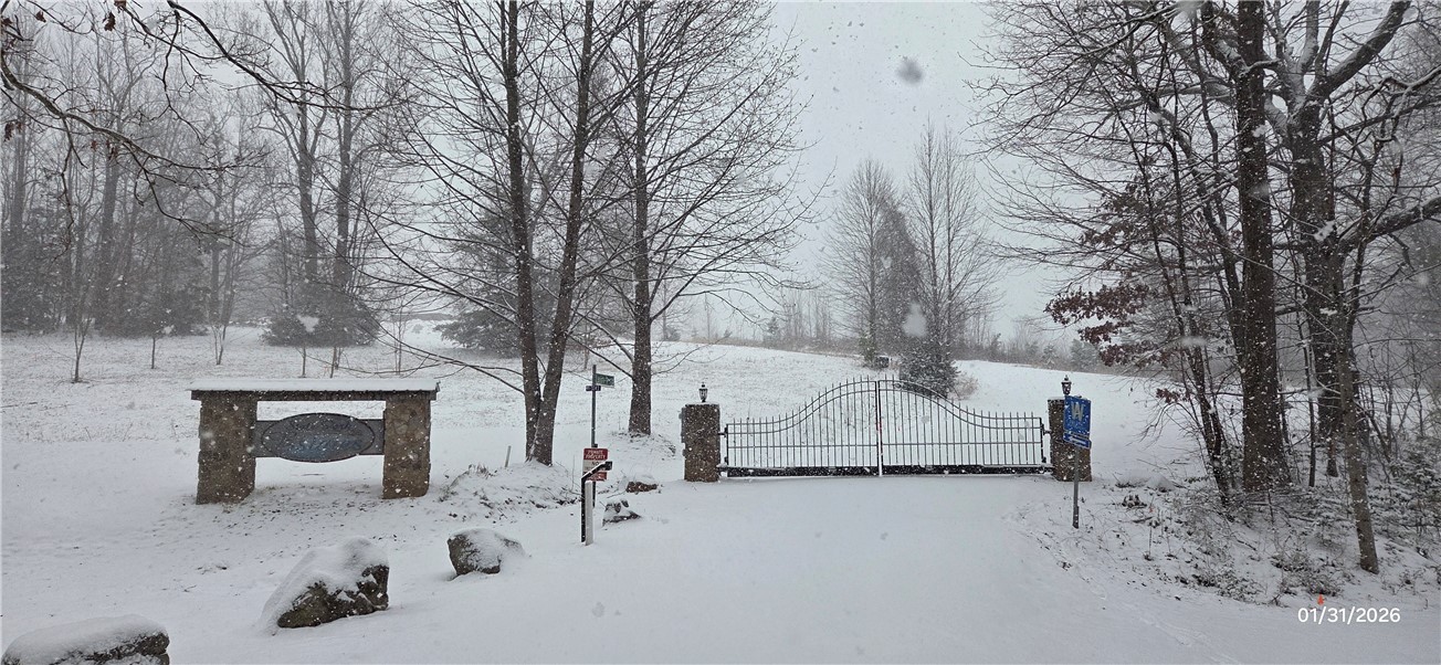 1 Lenore B Lane Mountain Rest, SC 29664 - Photo 27 of 30 The community gate in a rare snow