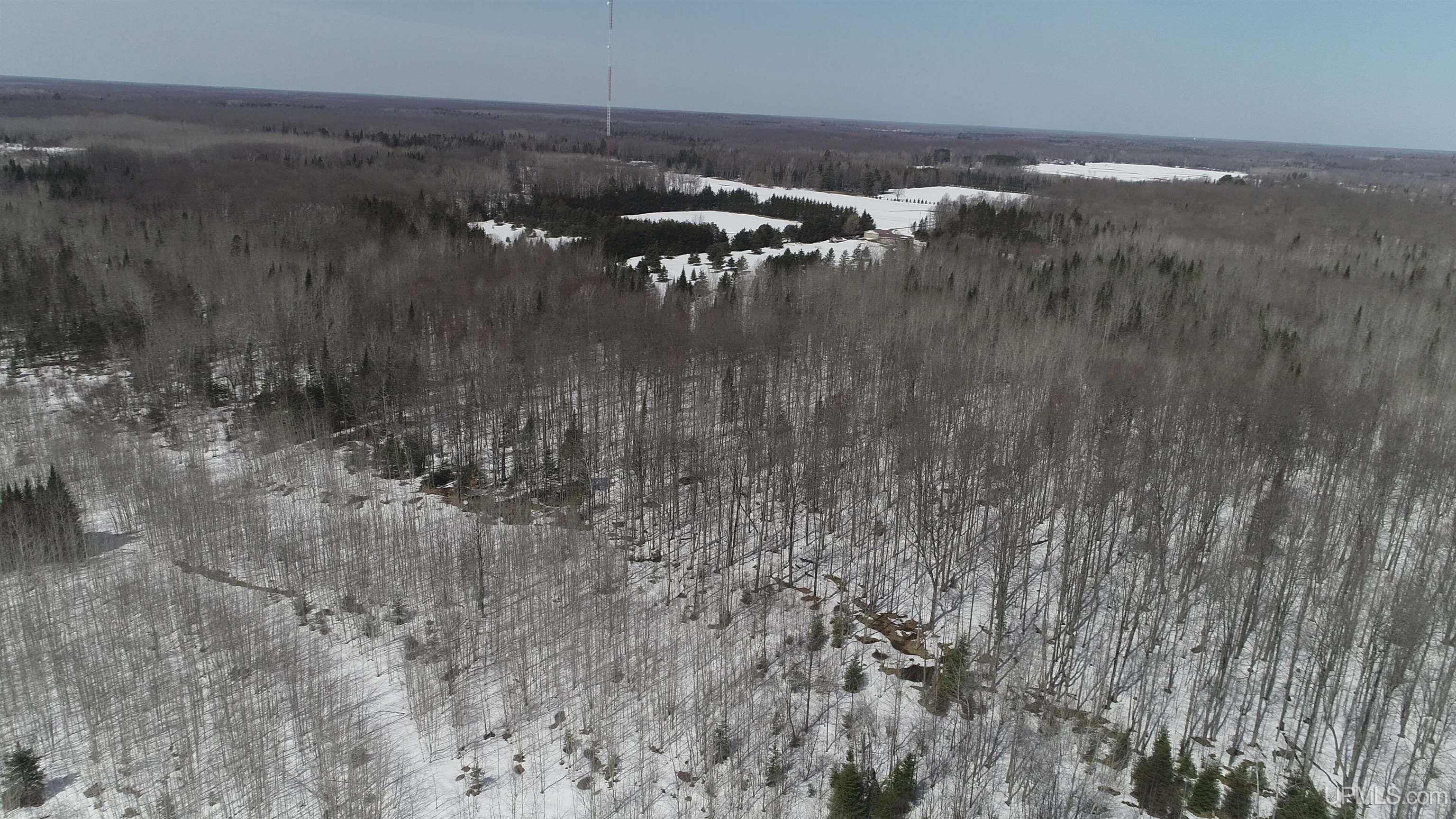 V25 Rd Trenary Mi 49891 Road Rapid River, MI 49878 - Photo 15 of 28