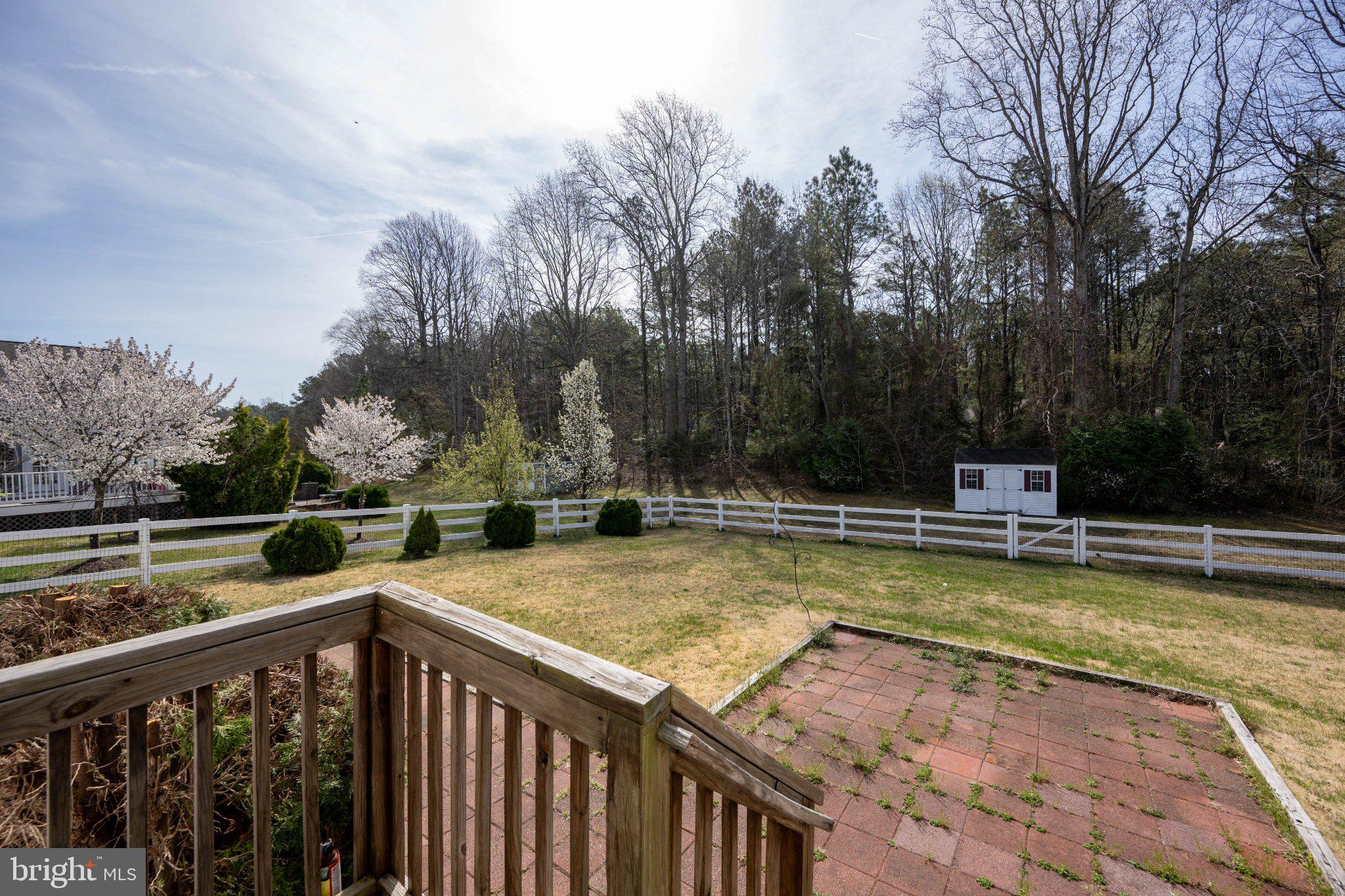 28751 Valley View Lane Lewes, DE 19958 - Photo 11 of 38 Serene backyard with blooming trees.