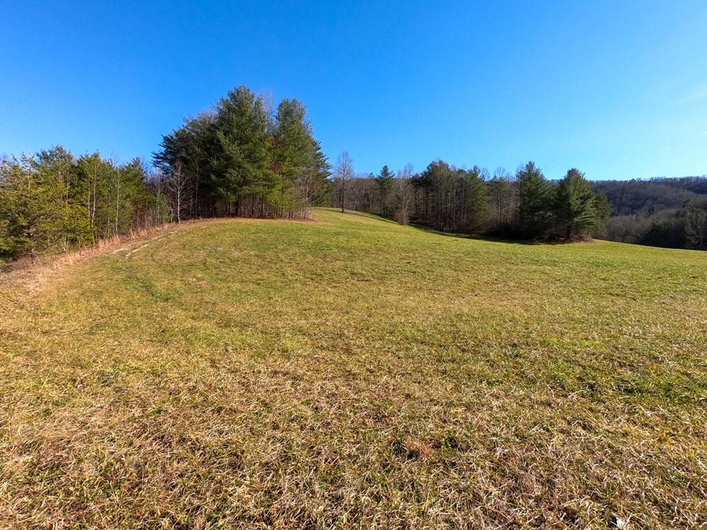 Bobcat Trail Del Rio, TN 37727 - Photo 14 of 26 240292_12