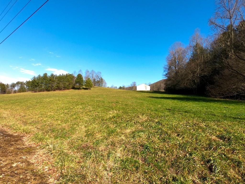 Bobcat Trail Del Rio, TN 37727 - Photo 3 of 26 240292_2