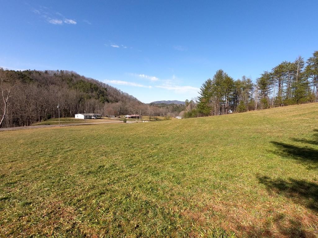 Bobcat Trail Del Rio, TN 37727 - Photo 22 of 26 240292_20
