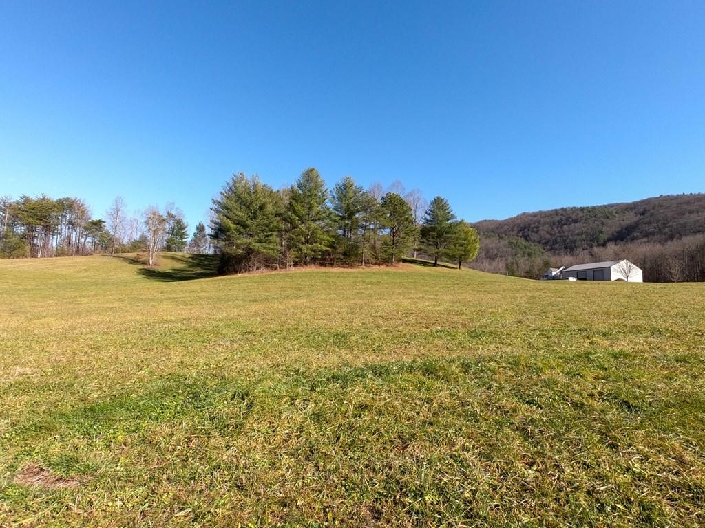Bobcat Trail Del Rio, TN 37727 - Photo 8 of 26 240292_6