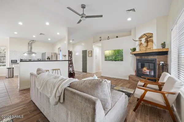 a living room with furniture and a fireplace