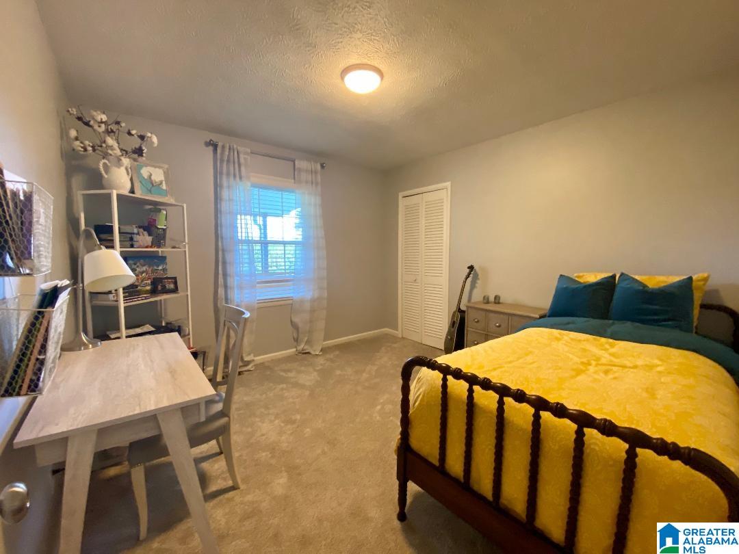 9737 Highway 11 Springville, AL 35146 - Photo 19 of 28