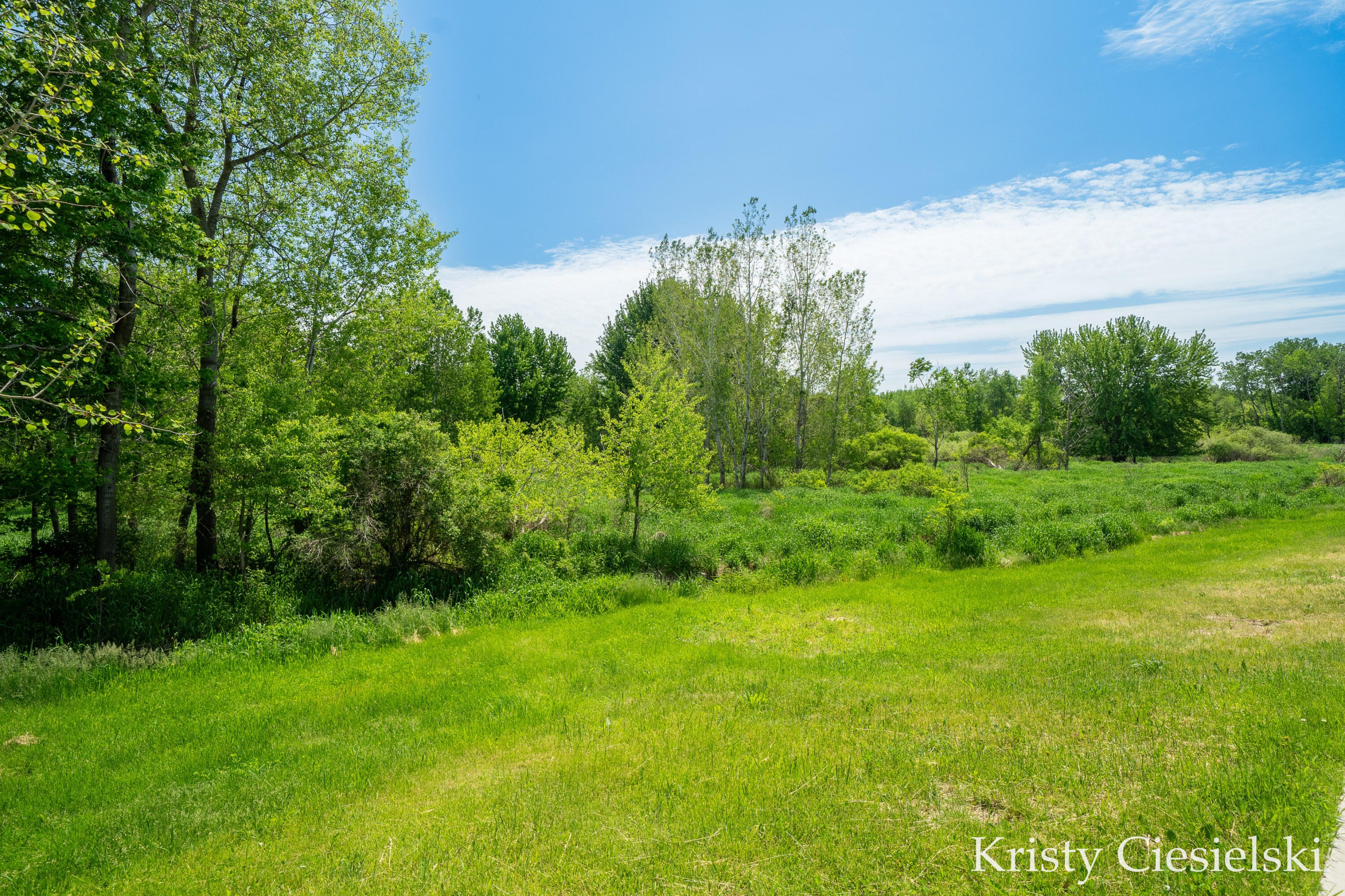 2162 South Stone Road Fremont, MI 49412 - Photo 45 of 57 50-print-2162 S Stone Rd, Fremont, MI 49