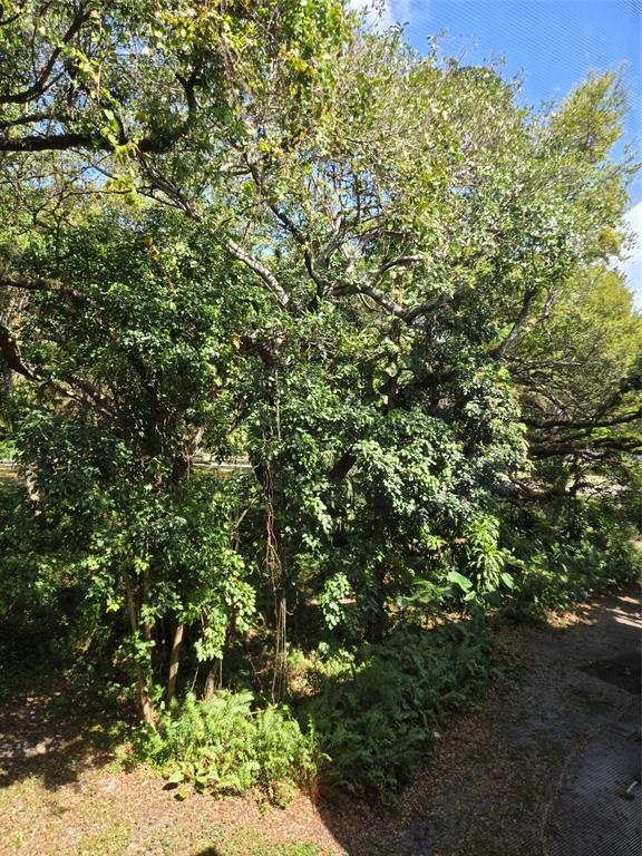 9400 Live Oak Place, Unit 305 Davie, FL 33324 - Photo 23 of 93 Overlooking The Ridge.