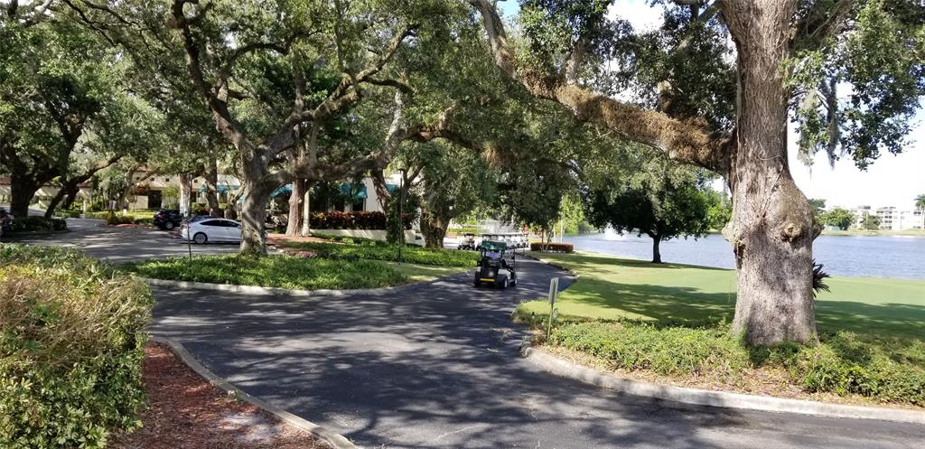 9400 Live Oak Place, Unit 305 Davie, FL 33324 - Photo 76 of 93 Golf Cart and Bag Storage Area and Putting Green.