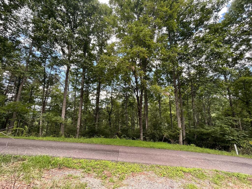 393 Kanawha Ridge Road Dugspur, VA 24325 - Photo 4 of 29 Gallery Image 4