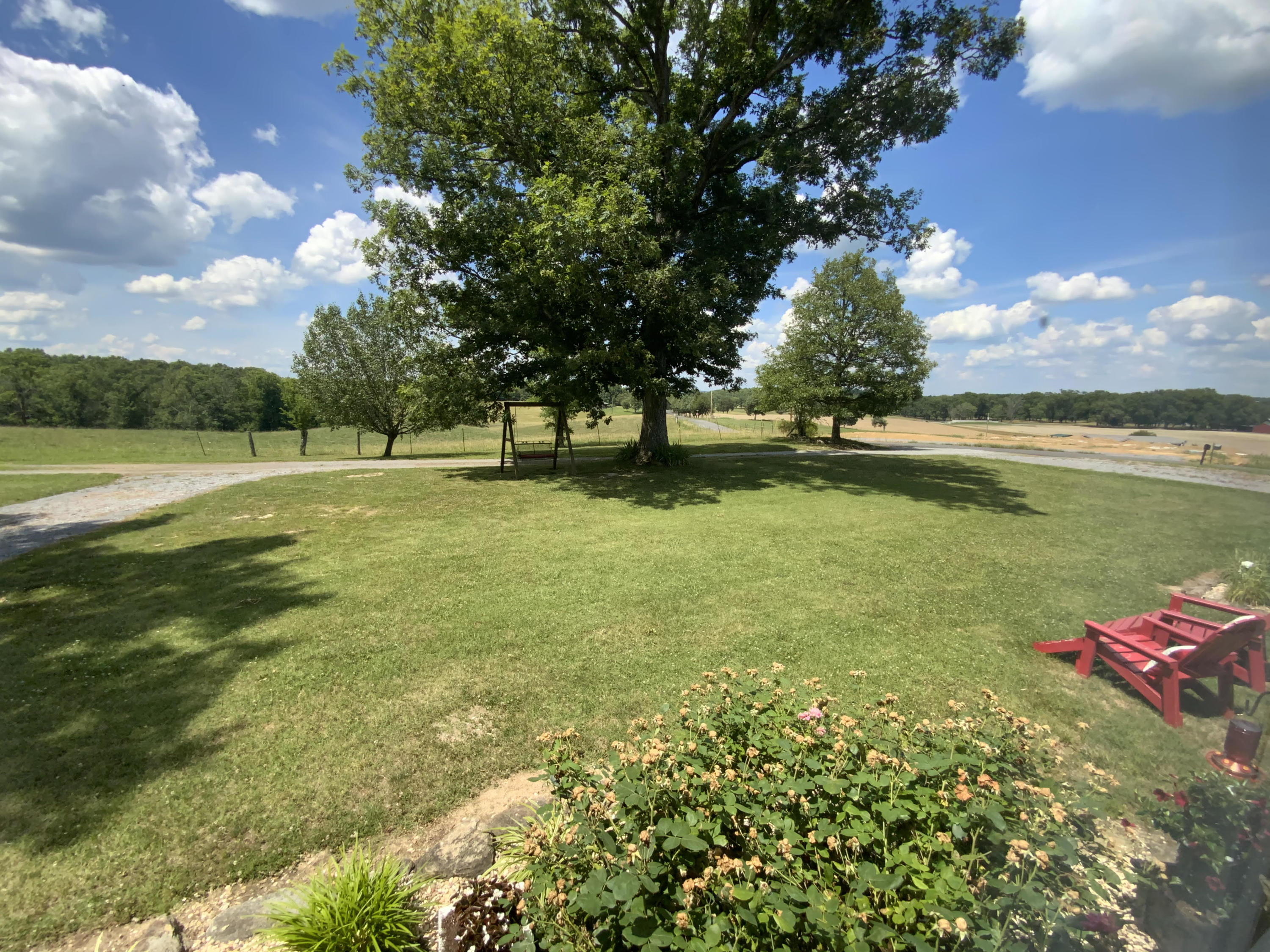 1373 Smelcer Road Mohawk, TN 37810 - Photo 18 of 50 View of Front Yard from Front Window