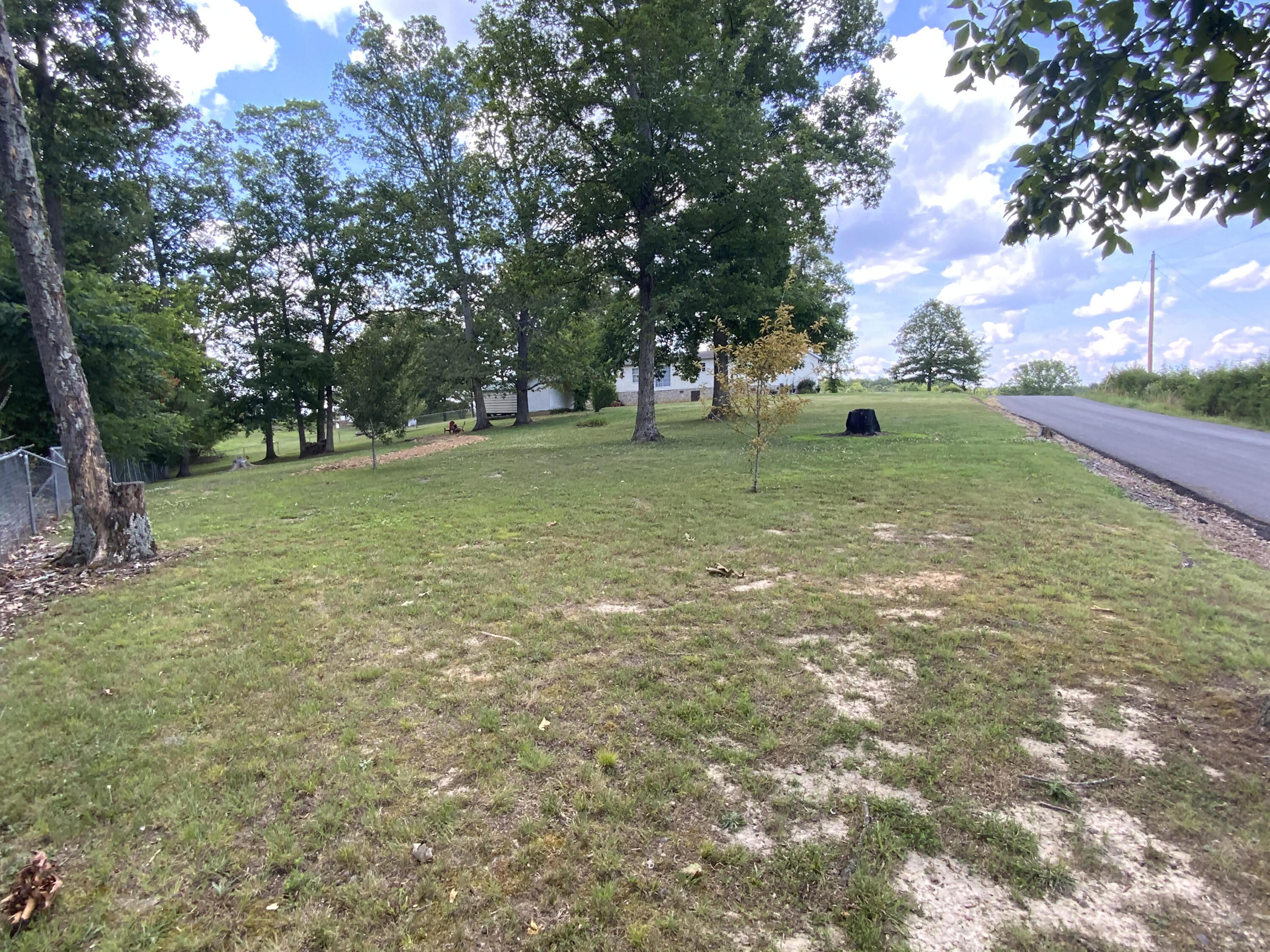 1373 Smelcer Road Mohawk, TN 37810 - Photo 21 of 50 Back Corner of Lot Looking Toward Home