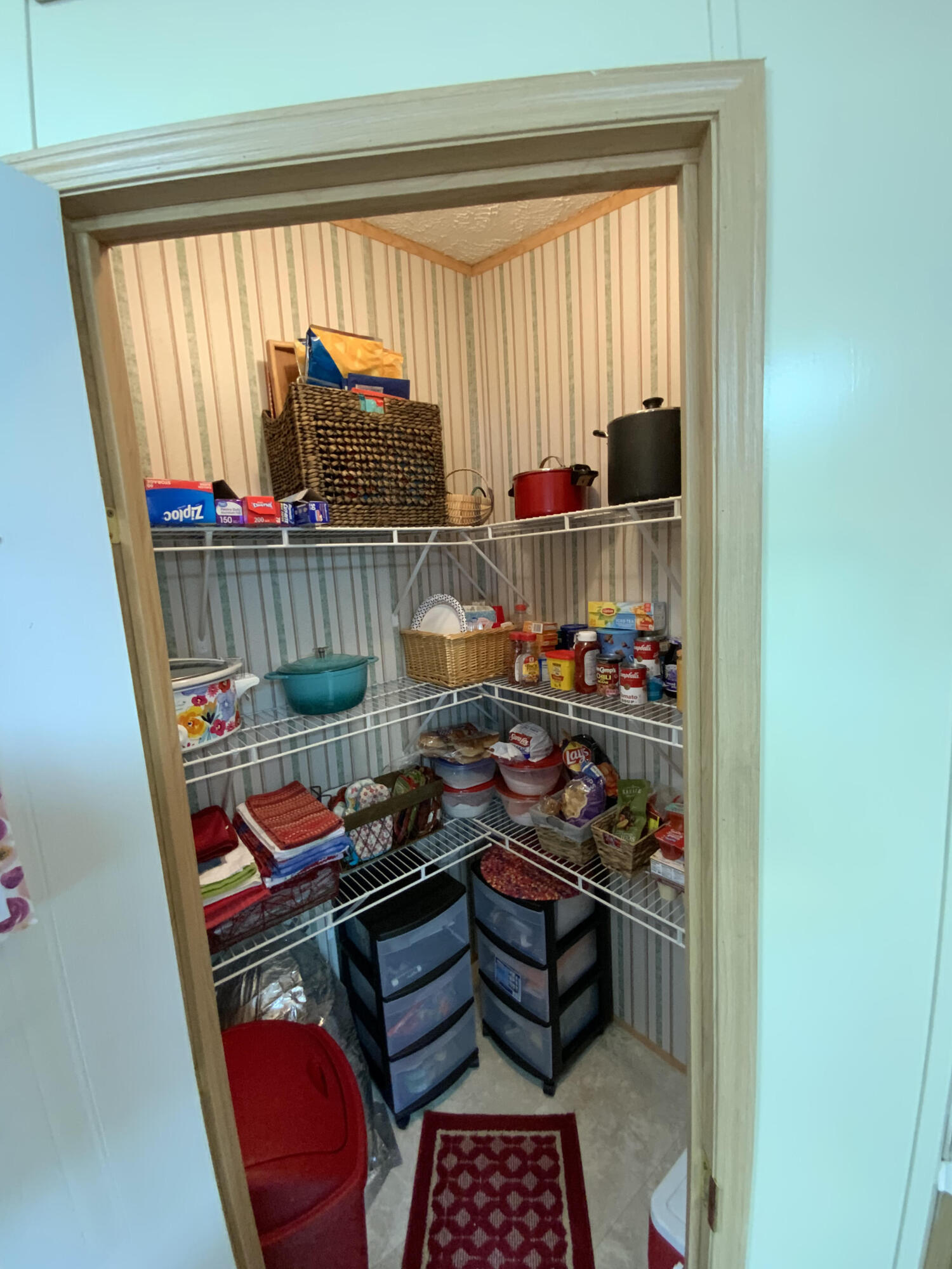 1373 Smelcer Road Mohawk, TN 37810 - Photo 35 of 50 Inside Pantry