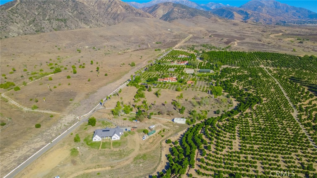 32265 Sapphire Street Mentone, CA 92359 - Photo 23 of 33 a view of a garden with a pathway