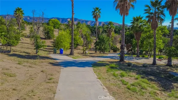 a park view with large trees