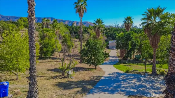 a view of a yard with palm tree