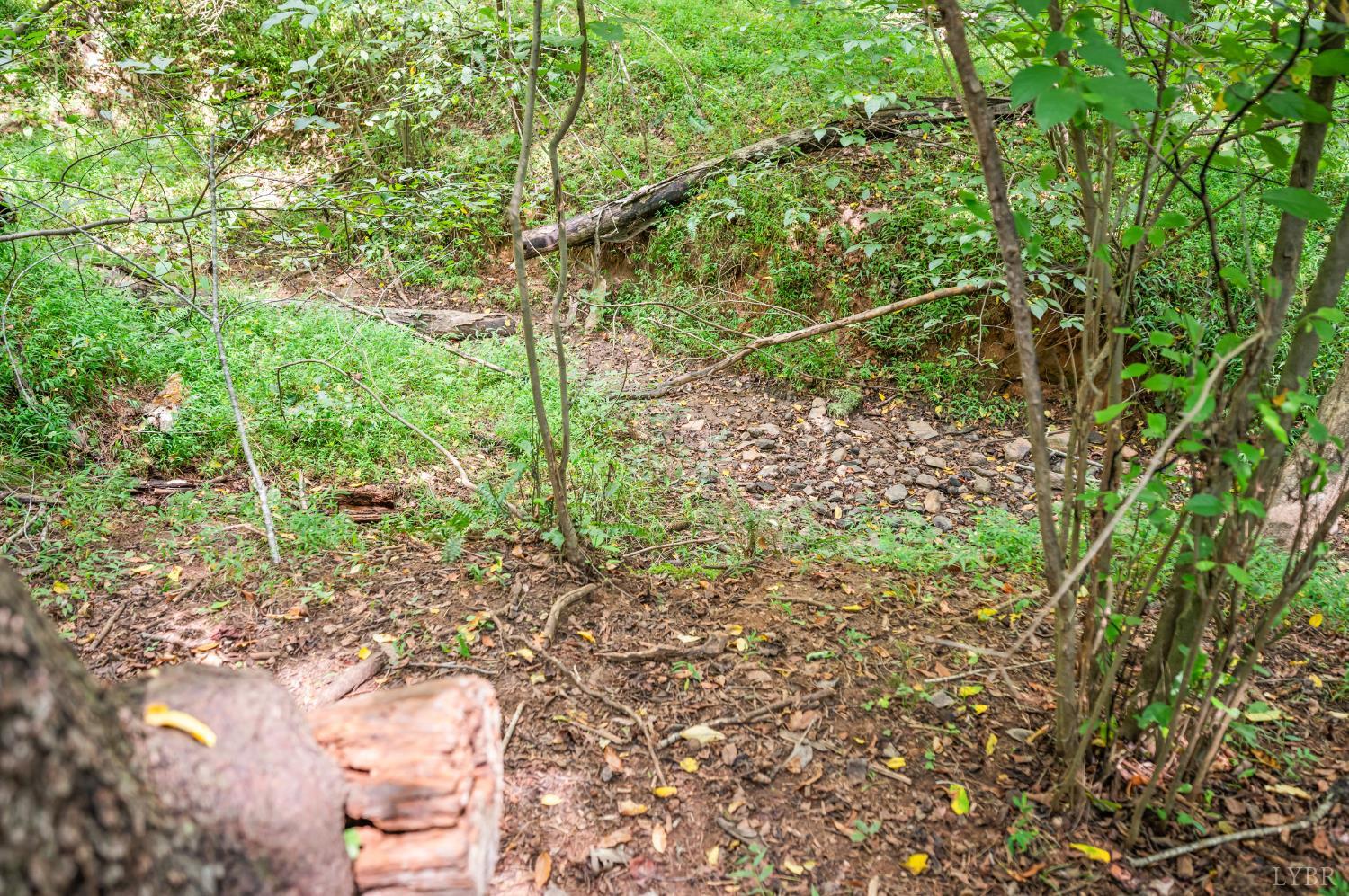 6707 Coffee Road Forest, VA 24551 - Photo 36 of 79 Gallery Image 36