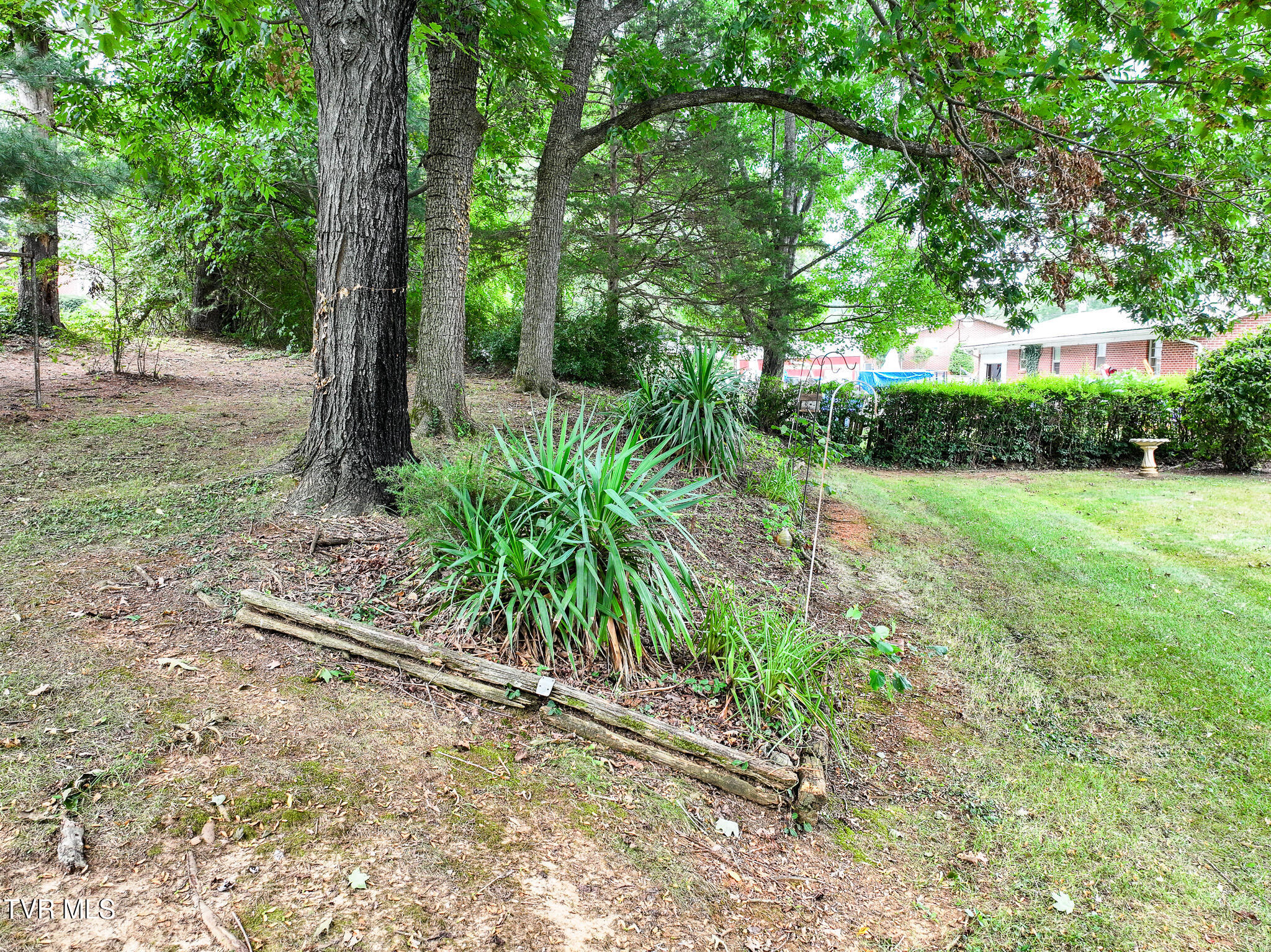 150 Decatur Street Greeneville, TN 37743 - Photo 44 of 57 37