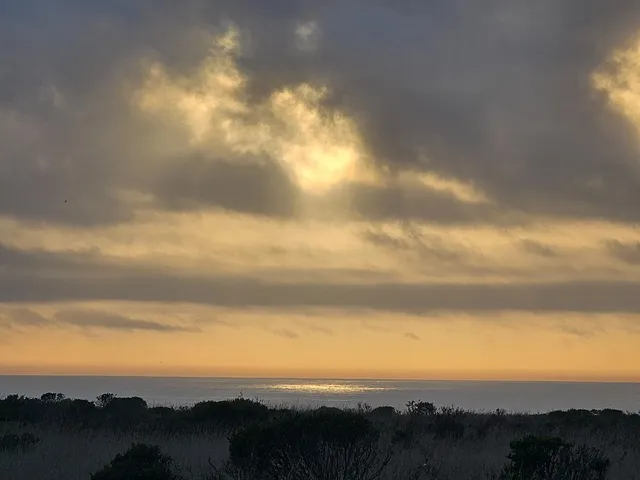 a view of a dry field with trees in the background