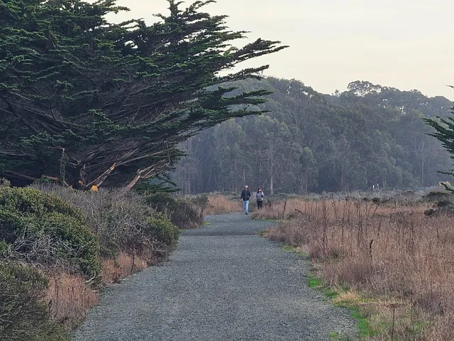 a black and white photo of a window