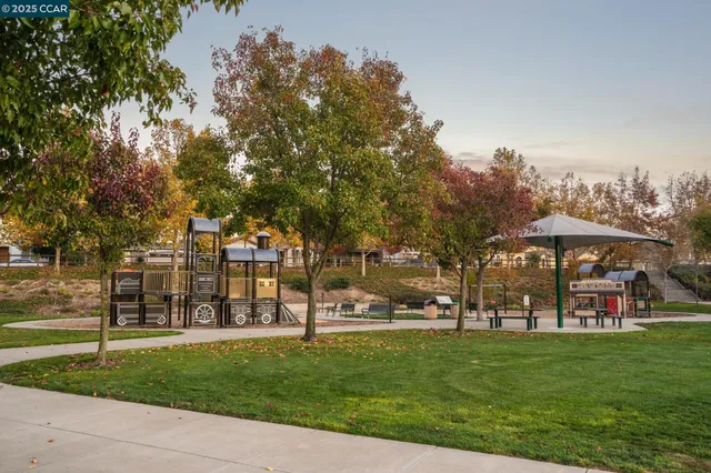 a view of a park with large trees