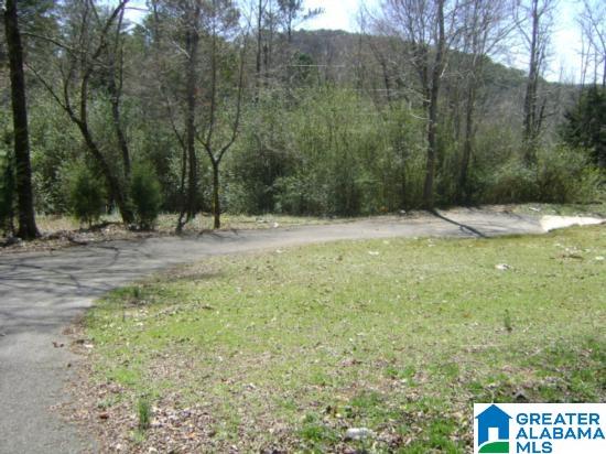 0 Marsh Mountain Road, Unit 6 Pinson, AL 35126 - Photo 1 of 2
