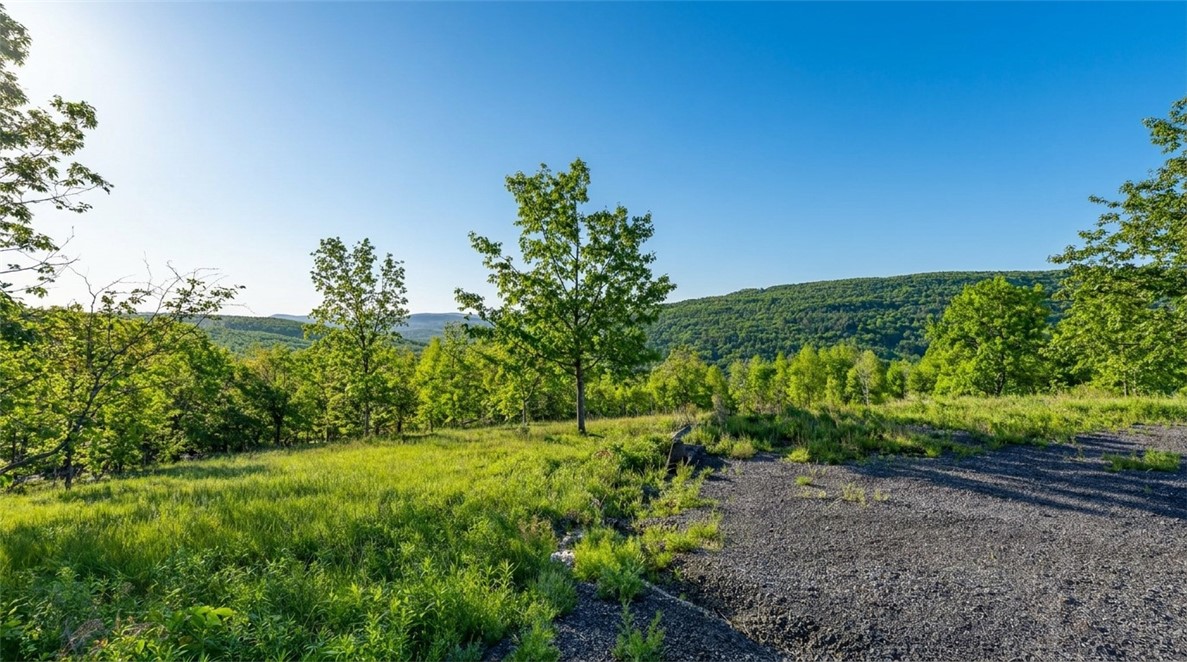 10.10 Cheese Hill Road Preston Hollow, NY 12469 - Photo 8 of 46