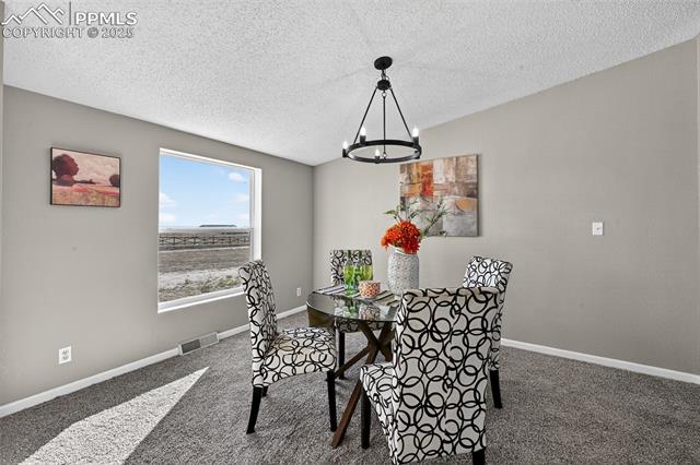 704 Buffalo Run Road Calhan, CO 80808 - Photo 15 of 45 Gallery Image 15