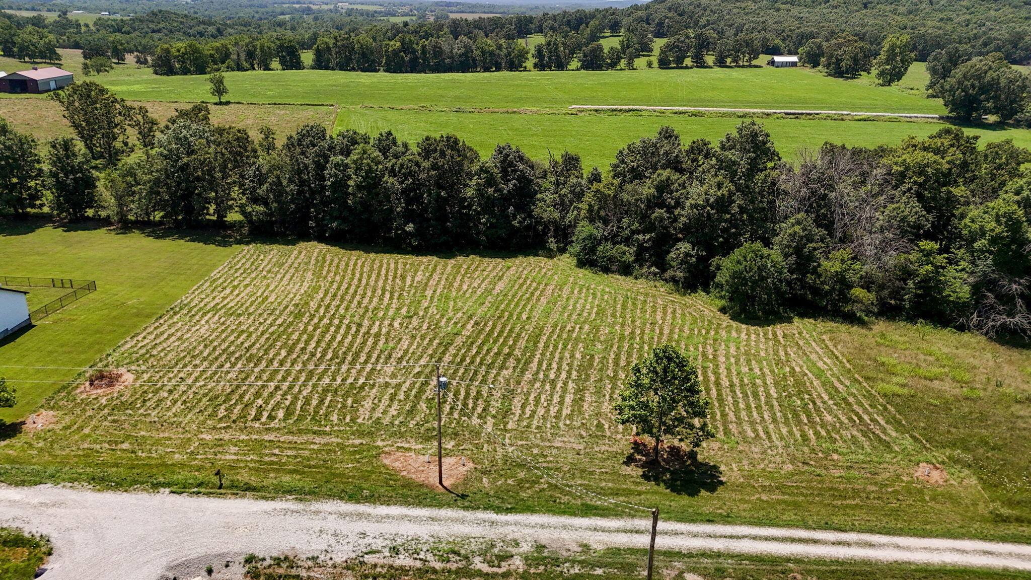 2492 East 549th Road Buffalo, MO 65622 - Photo 4 of 7 2492 E 549th Road-6