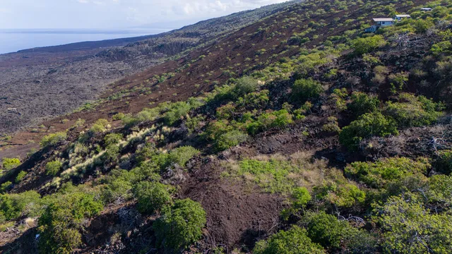 an aerial view of residential house with outdoor space and trees all around