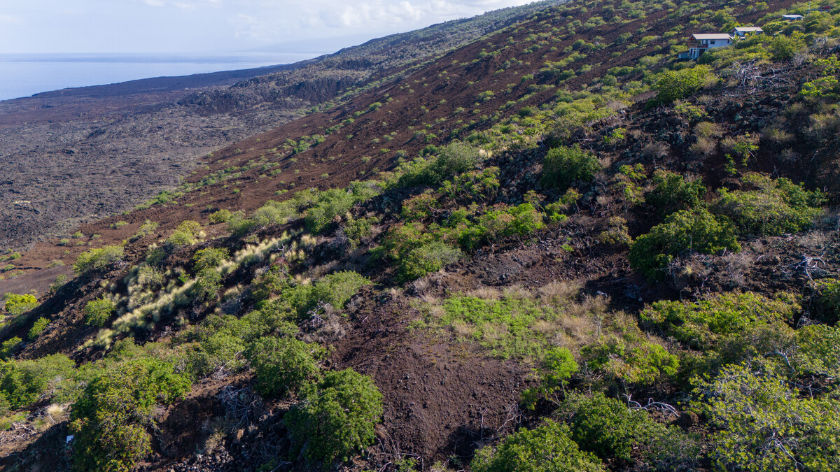 8 Pikake Lane Captain Cook, HI 96704 - Photo 7 of 11 a view of a large yard with lots of plants and trees