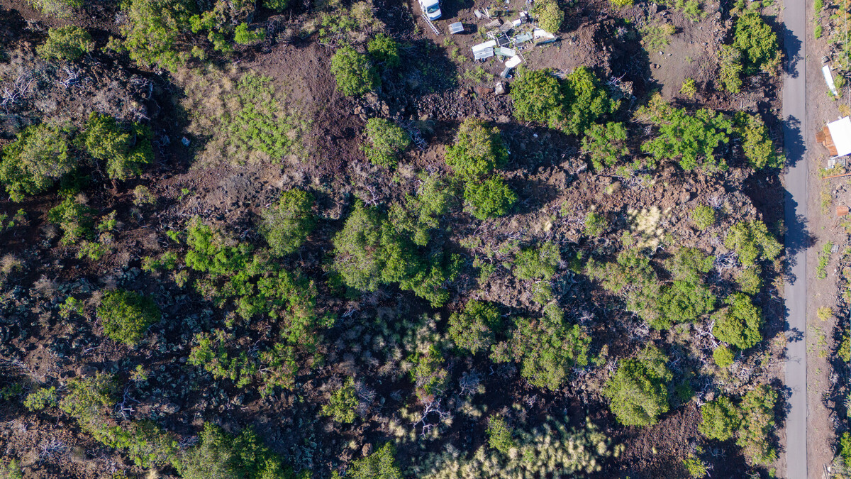 8 Pikake Lane Captain Cook, HI 96704 - Photo 8 of 11