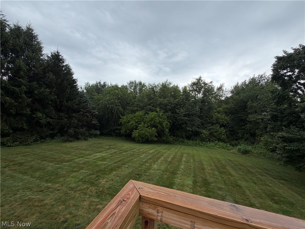 9399 Stump Road Minerva, OH 44657 - Photo 4 of 47