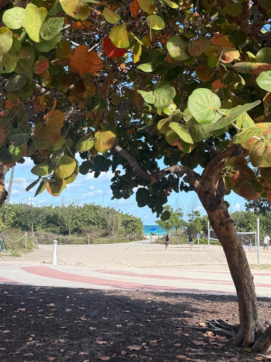 7928 Harding Avenue, Unit 2 Miami Beach, FL 33141 - Photo 17 of 19