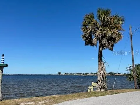 a view of ocean with palm trees