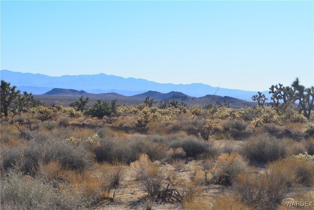 11900 Alan Road Yucca, AZ 86438 - Photo 17 of 99 Gallery Image 17