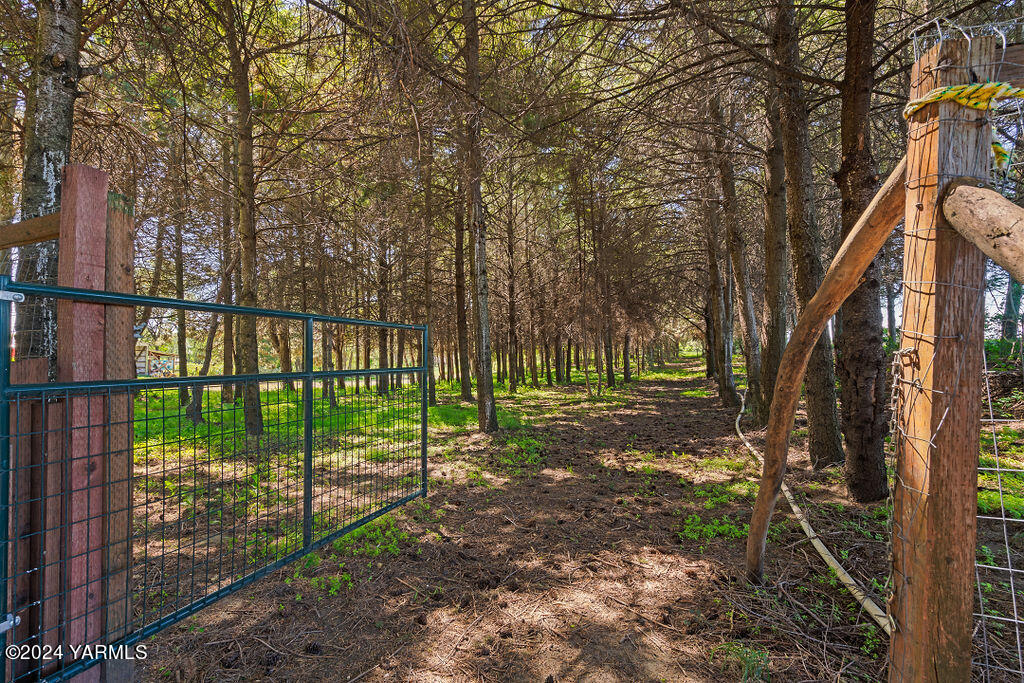 1241 Nelson Road Granger, WA 98932 - Photo 35 of 45 a view of a yard with a tree